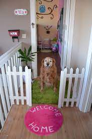 Pin By Kadersaka On Room Inspiration Dog Bedroom Dog Rooms Puppy Room