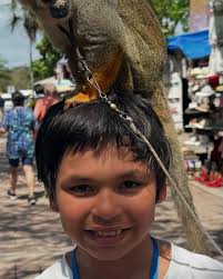 Jeff Somerville (@jeffrey.somerville) • Instagram photos and videos