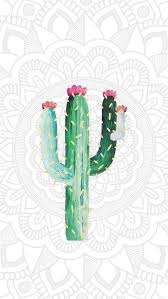 Download hd mexico photos for free on unsplash. Wallpaper Cactus Cute Wallpaper Backgrounds Android Wallpaper Wallpaper Backgrounds