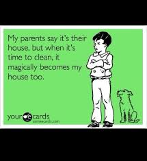Cleaning Humor Absolutely The Kids Can Help Clean Up Their Messy Disgusting Smelly Rooms Norwex Makes It Easy Ecards Funny Clean Humor Humor