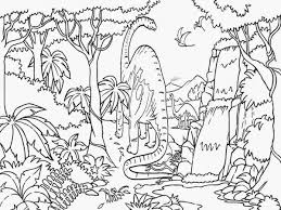 Enjoy these rainforest coloring pages. Tropical Rainforest Coloring Pages