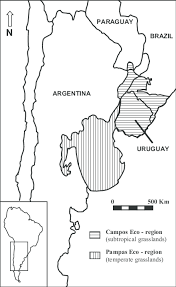 Unfortunately, agriculture and cattle ranching have heavily altered these natural communities. Distribution Of Two Major Grassland Biomes Pampas And Campos In Download Scientific Diagram