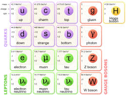 Fundamental Interaction Wikipedia The Free Encyclopedia Higgs Boson Elementary Particle Physics