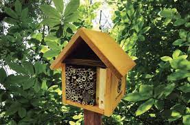 We did not find results for: Bee Houses For Native Solitary Bees The Old Farmer S Almanac