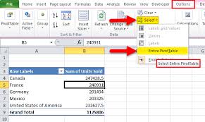 Posted on august 19, 2019july 20, 2020 by tomasz decker. How To Delete A Pivot Table Methods Step By Step Tutorials