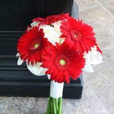The bridal bouquet was a lovely mix of red gerbera, roses and hypericum berries with variegated ditto foliage through and. Pin By Bailey Hall On Wedding Flowers Rose Bridal Bouquet Red Wedding Flowers Bouquet Flower Bouquet Wedding