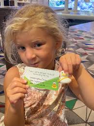 Hiding Lego Collections from Spouses