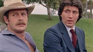 Simon & Simon (TV Series 1981–1989)