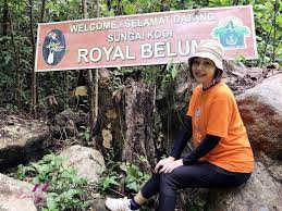 The royal belum state park is entirely contained within the forest complex. Discover The Beauty Of Royal Belum State Park Rainforest