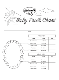 2019 Baby Teeth Chart Fillable Printable Pdf Forms