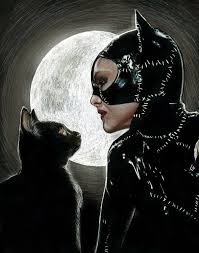 Cat And Woman By Nathan Anderson Batman And Catwoman Catwoman Catwoman Cosplay