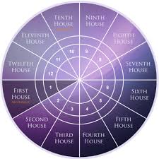 12 Astrology Houses Planets In Houses