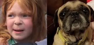 Cão é encontrado cuidando de menina de 4 anos desaparecida em fazenda