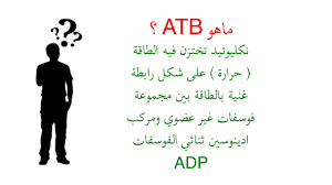 أدينوسين فورت adenosin forte الجرعة المسموح بها والآثار الجانبية. Ø§Ø¯ÙŠÙ†ÙˆØ³ÙŠÙ† Ø«Ù„Ø§Ø«ÙŠ Ø§Ù„ÙÙˆØ³ÙØ§Øª Ù…Ø´Ø±ÙˆØ¹ Ù© Youtube