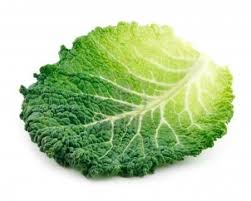 Chou Vert Feuille Boursoufflee