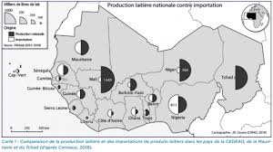 Le Visage Laitier De L Afrique De L Ouest En Pleine Mutation Commodafrica