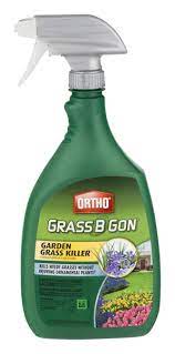 Maybe you would like to learn more about one of these? Ortho Grass B Gon Garden Grass Killer