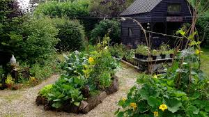 Bealtaine Cottage Potage Beds In The Permaculture Gardens Bealtaine Cottage Ireland