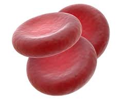 See full list on healthhype.com Premium Photo Red Blood Cell Is Moving In Blood Vessel