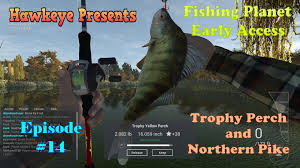 Fishing planet has 17 trophies. How To Catch Northern Pike Fishing Planet Arxiusarquitectura