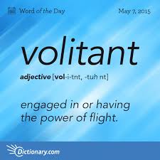 Volitant Word Of The Day Dictionary Com Weird Words Unusual Words Uncommon Words