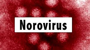 Check if you have norovirus. Norovirus Cases Spike In Nebraska This Month Siouxlandproud Sioux City Ia News Weather And Sports