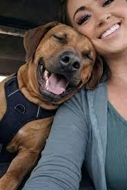 My beautiful boy went to sleep forever yesterday. I am heartbroken 💔🥺🥺