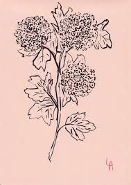 Check spelling or type a new query. 500 Flowers By Lucy Auge