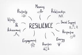 An individual's resilience is dictated by a combination. Resilience Building At Dwp Gcs