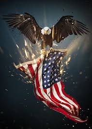 Bald Eagle American Flag Door Decoration Door Decor Door Etsy American Flag Wallpaper American Flag Art Eagle Wallpaper