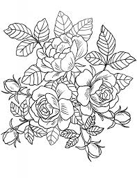 Free printable flower coloring pages. Floral Coloring Pages For Adults Best Coloring Pages For Kids Detailed Coloring Pages Rose Coloring Pages Star Coloring Pages