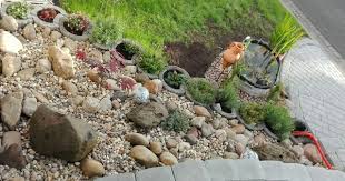 Bild 16 Ein Roter Facherahorn Ziert Den Steingarten Vorgarten Steingarten Garten