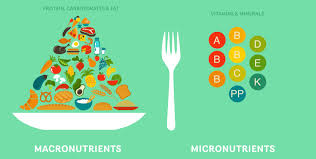 These are the nutrients that provide energy and structure in the body. Eating For Success Macro Micro Nutrients Mid American Fitness Blog
