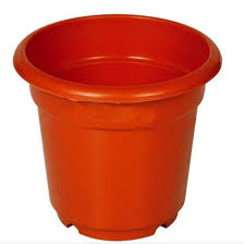 Simply select afterpay as your payment method at checkout. China Plastic Plant Pots Flower Pots For Sale Planting Tools China Flower Pot And Plastic Flower Pot Price