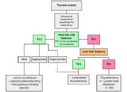 Thyroid cancer typically doesn't cause any signs or symptoms early in the disease. Approach To Low Risk Papillary Thyroid Cancer Ptc Rai Radioactive Download Scientific Diagram