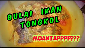 Aplikasi resep ikan tongkol menawarkan berbagai variasi resep sederhana namun nikmat mengelola ikan. Gulai Ikan Tongkol Tempe Enak Dan Sederhana Youtube
