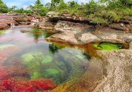 The destination was closed by environmental authorities back in december 2019, in order to protect the streams and natural pools of this fragile ecosystem as water levels dropped with the. How To Get To Cano Cristales The Rainbow River Of Colombia