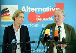 Link zur diskussion zu favoriten hinzufügen. Afd Zweitstarkste Kraft In Sachsen Sachsen Anhalt Und Thuringen