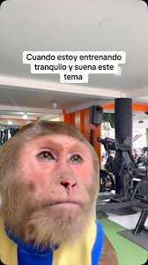 Que temazo te pone así? 🥲 , #riobamba #ecuador #gym #gymmotivation  #gimnasiosriobamba #relsb #entrenamiento #fyp #parati #humor