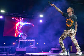 Image result for Sium repandum