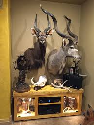 Check spelling or type a new query. Trophy Room Lighting Led Question Africahunting Com