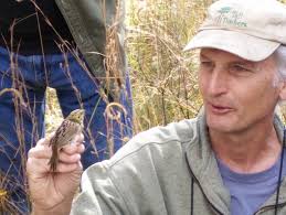 Some birds choose to help others raise offspring