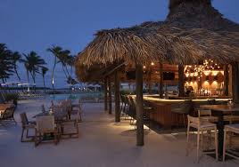 Image result for Faroa amara