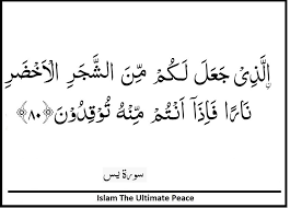 Maka sebahagiannya menjadi tunggangan mereka dan sebahagiannya mereka makan. Surah Yasin Verse 80 Verses Verse Teachings