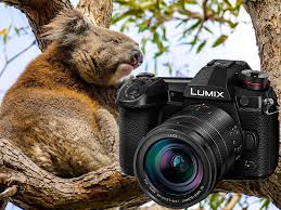 Dadurch ist in jedem preisbereich und alle preisklassen ein optimales getestetes produkt mit dabei. Panasonic Lumix G9 Beste Reisekamera Fur Profis Einsteiger Die Mehr Wollen Passenger On Earth