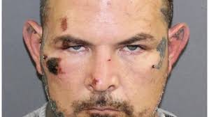 Man arrested after fighting with police officers, neighbor