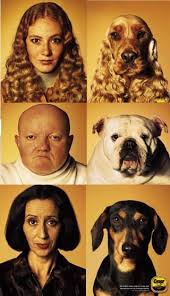 Do Dogs Look Like Their Owners? | Psychology Today Singapore