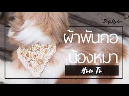 ว ธ ทำ ผ าพ นคอหมา แมว น าร กแบบท 1 pattern 01 youtube แมว