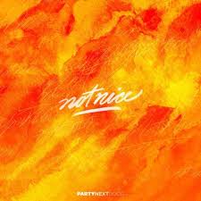 Partynextdoor Not Nice Lyrics Genius Lyrics