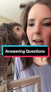 Bailey's Journey: From Cage Confined to Loving Companion